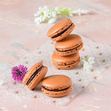 Macaron Belgium Chocolate