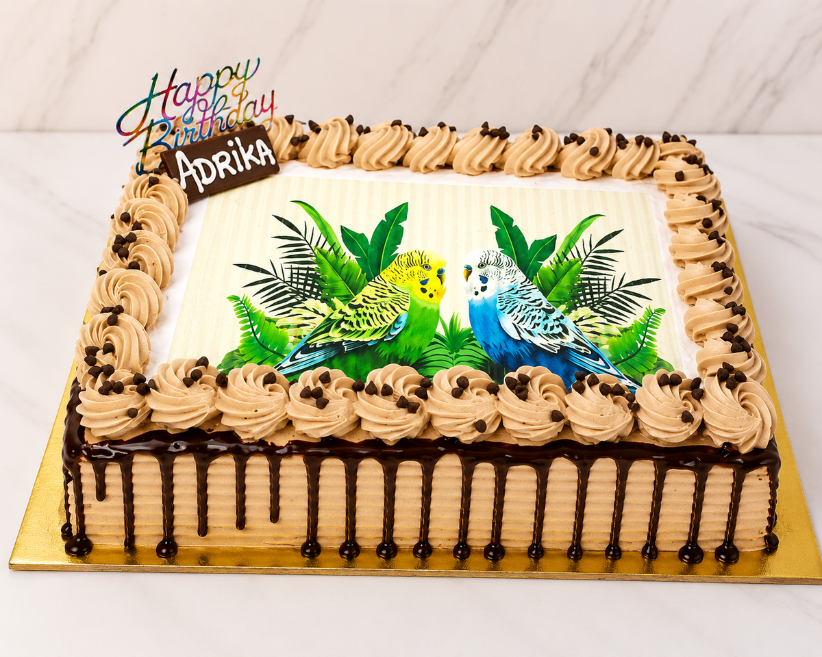 Chocolate Drip Photo Cake with Bird Theme