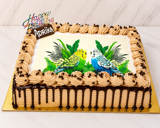 Chocolate Drip Photo Cake with Bird Theme