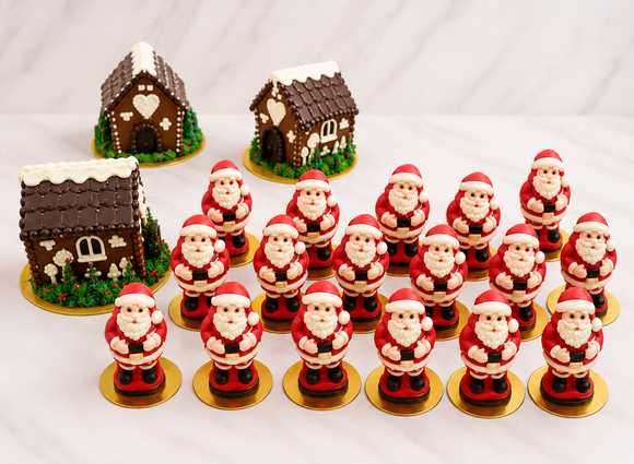 Christmas Santa & Gingerbread House Collection