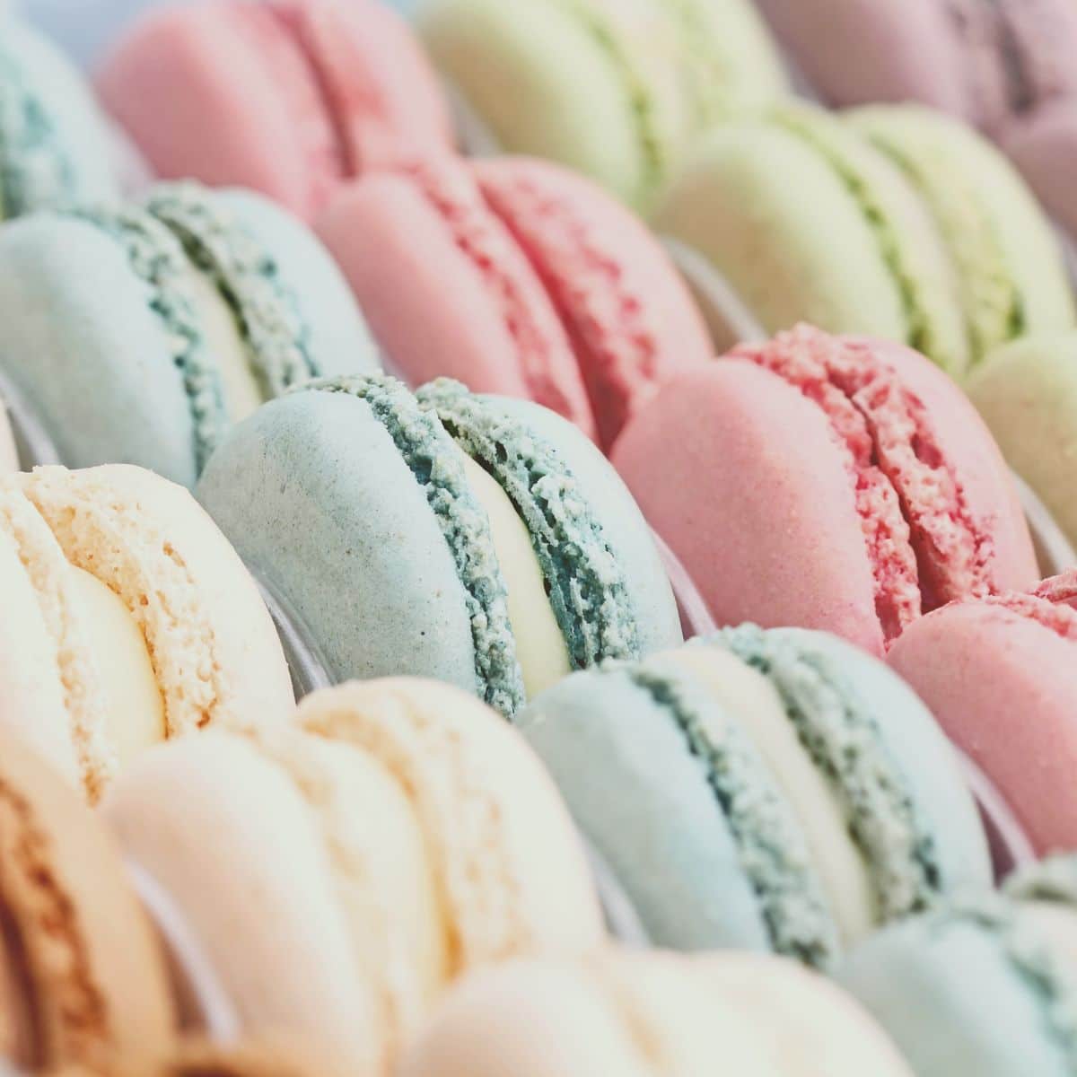 Macaron Box